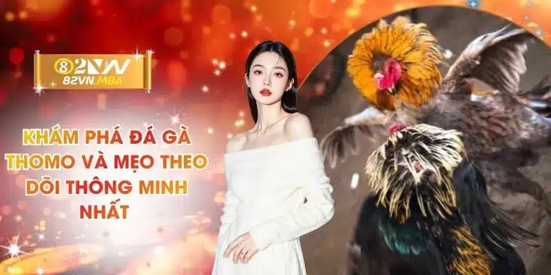 Khám Phá Đá Gà Thomo Và Mẹo Theo Dõi Thông Minh Nhất 