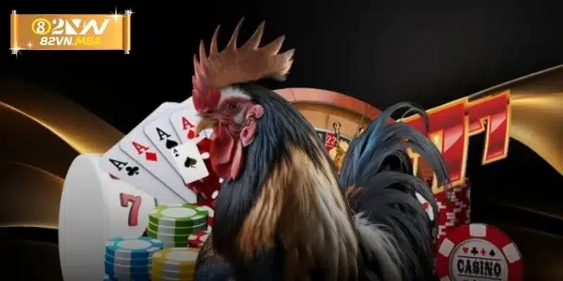 Giới thiệu về siêu phẩm đá gà 82vn